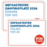 Logo PinCamp Award 2026