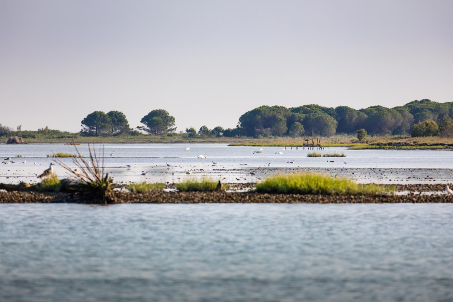 Foto della laguna
