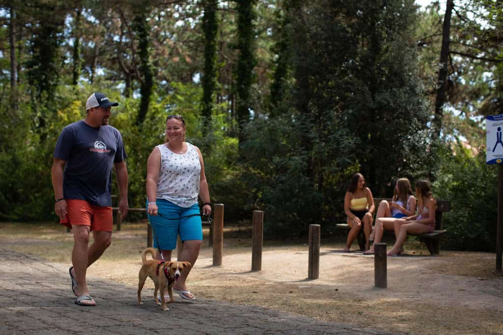 Dog park