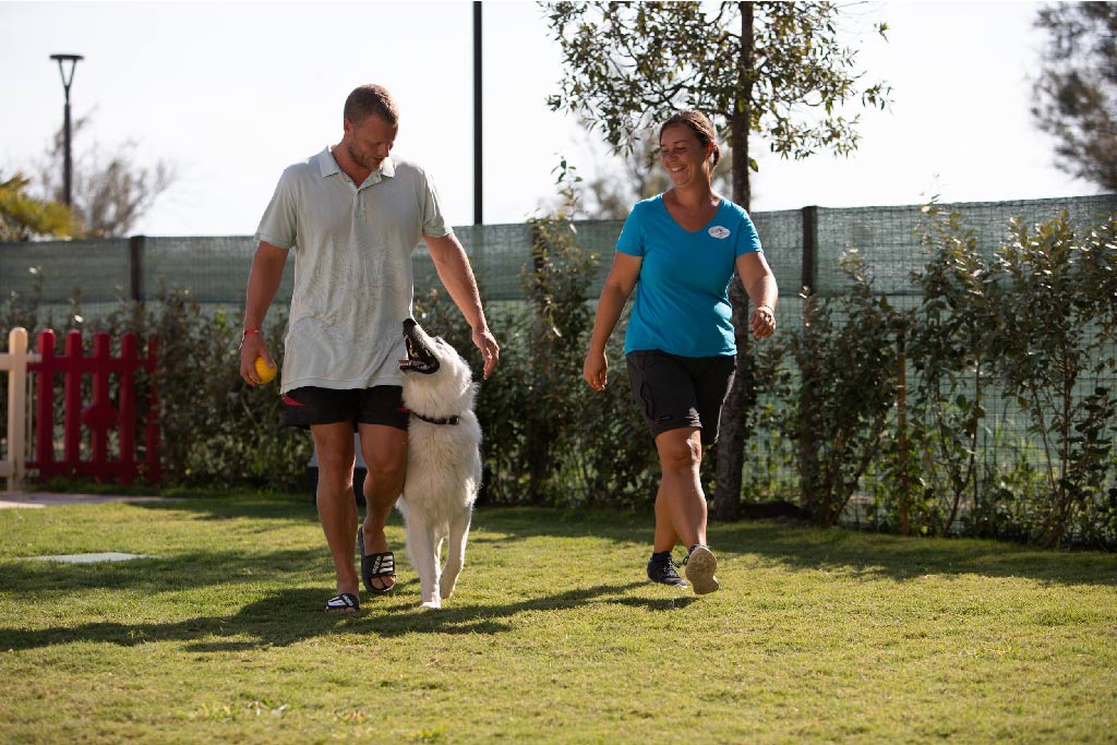Dog trainer