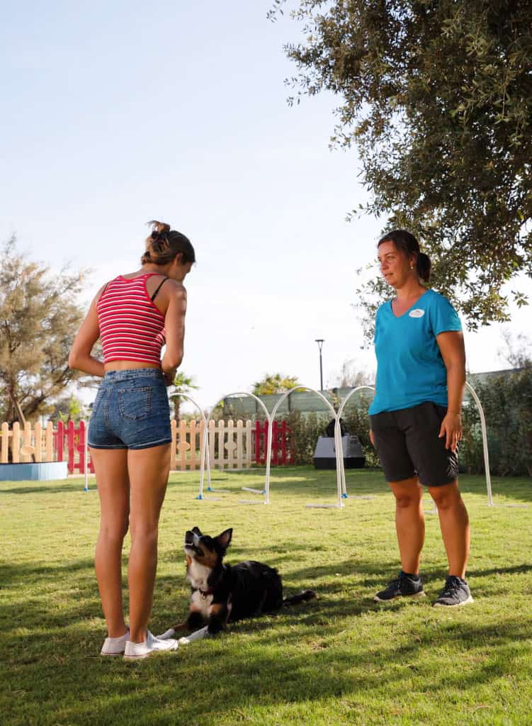 Dog trainer