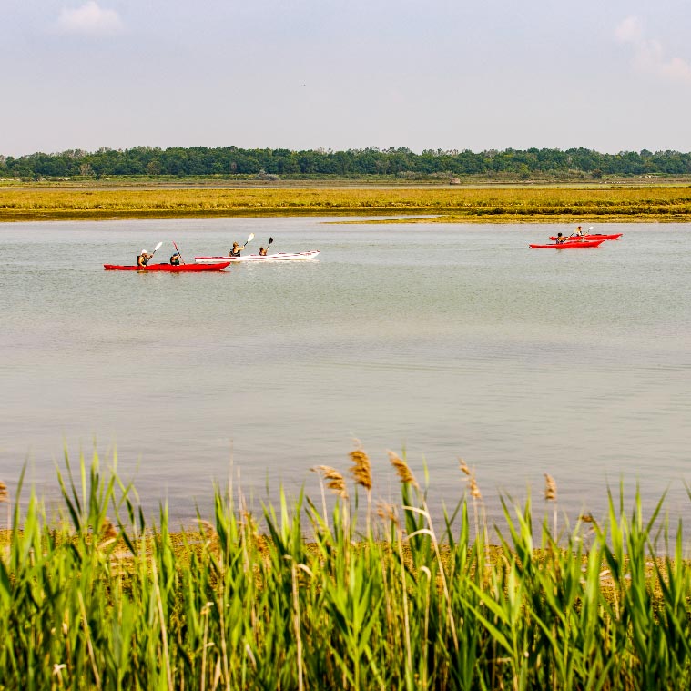 kayak on the lagoon of Bibione
