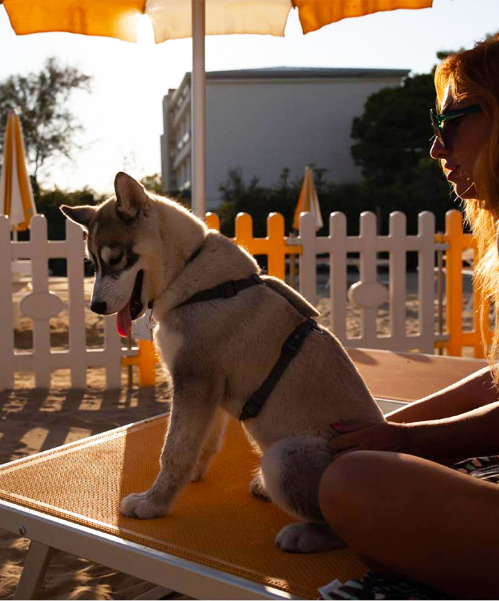 Spiaggia per cani