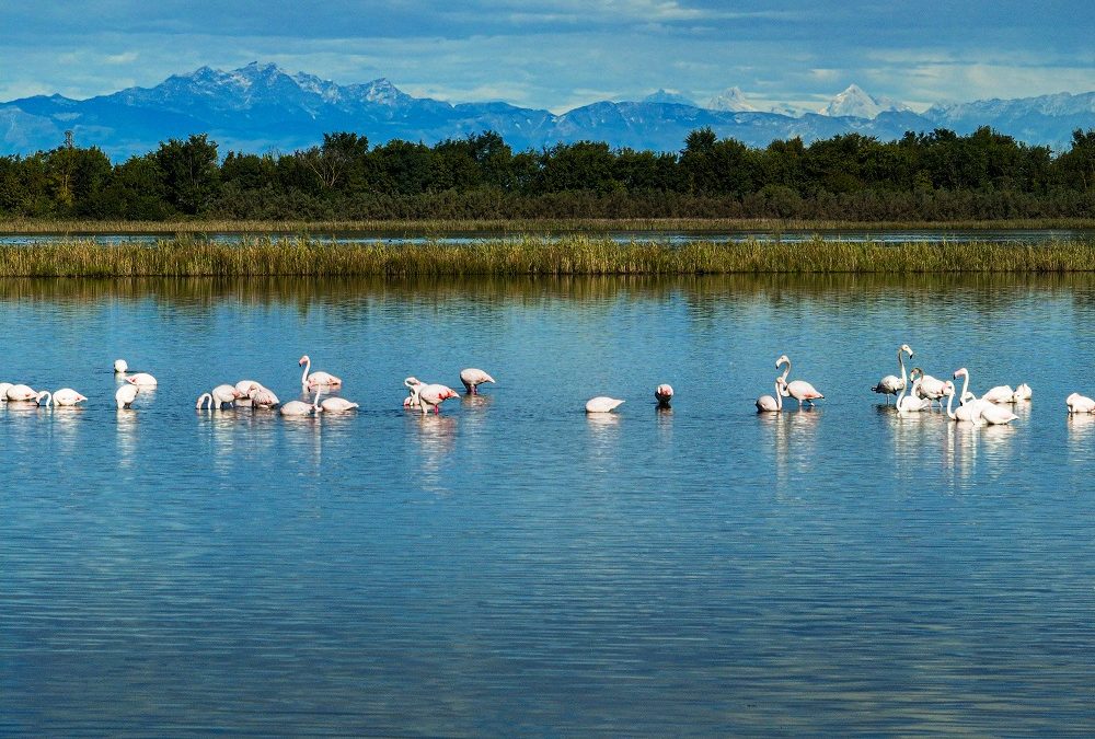 Val grande natura